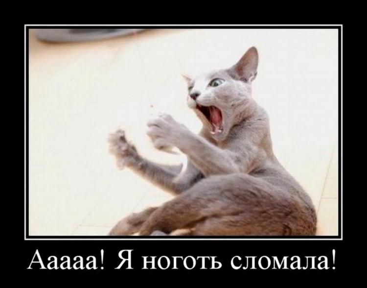 Алексей Карманов | Санкт-Петербург