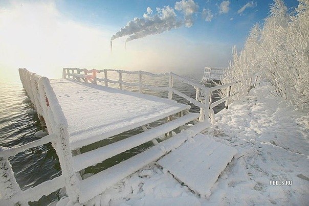 Алёна Балашова |