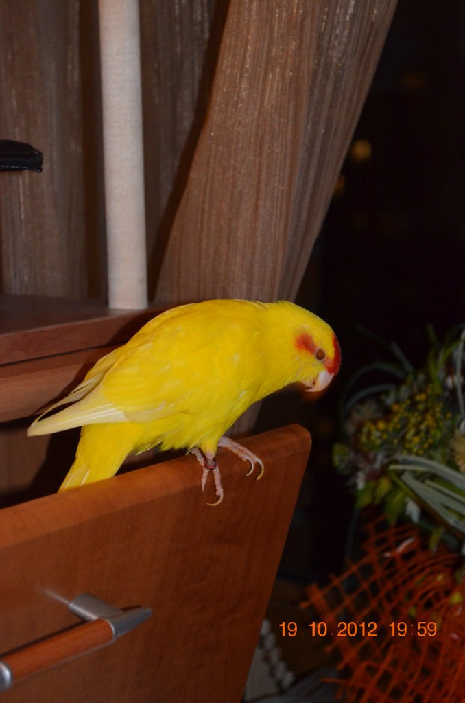 Екатерина Шишлянникова | Москва