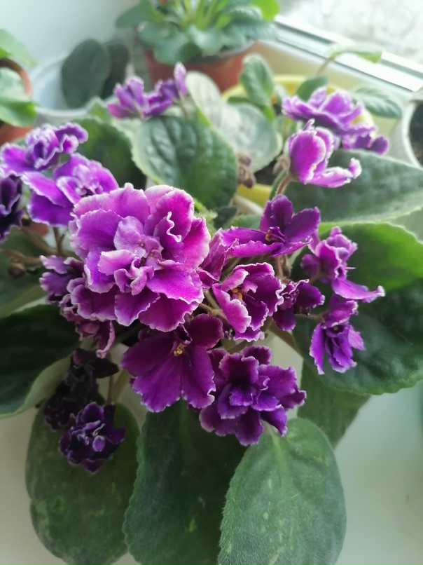 Екатерина Таланова | Рыбинск