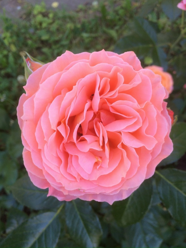 Татьяна Ленская | Тверь