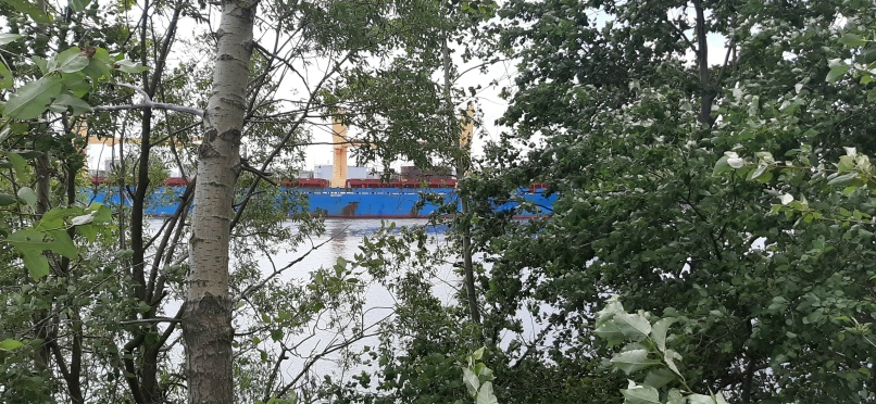 Кирилл Анненков |