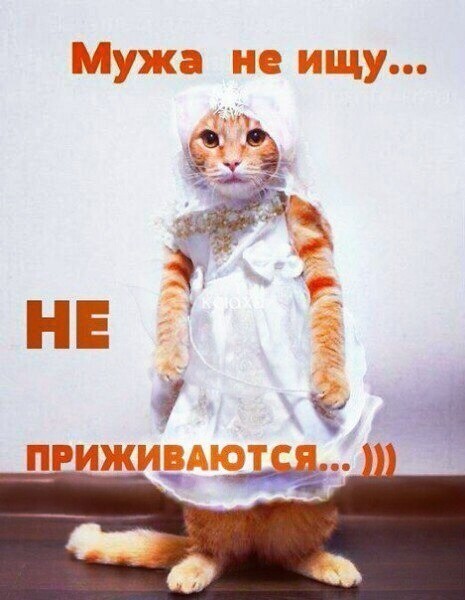 Ирина Аверина | Брянск