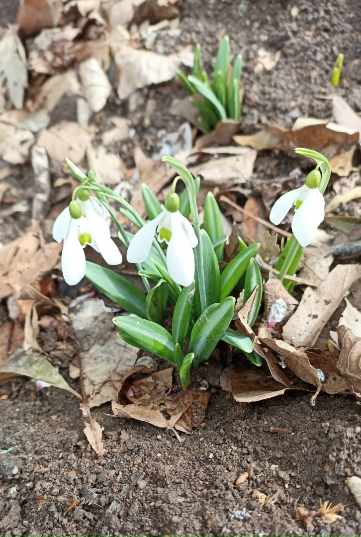 Светлана Павловская | Севастополь