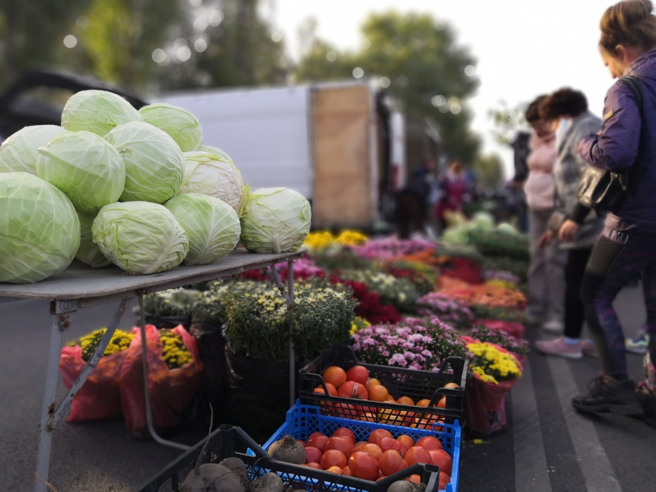 На осенней ярмарке в Курске будет действовать масочный режим и социальная дистанция