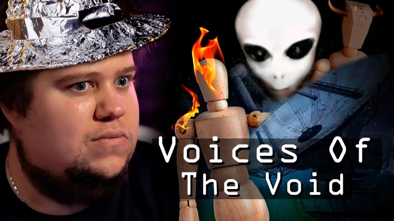 СНЯЛ НА КАМЕРУ ПРИШЕЛЬЦА Voices Of The