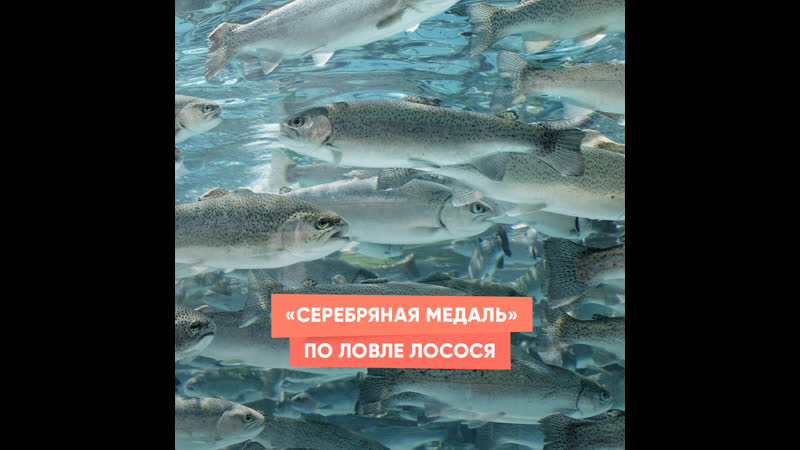 Серебряная медаль по ловле