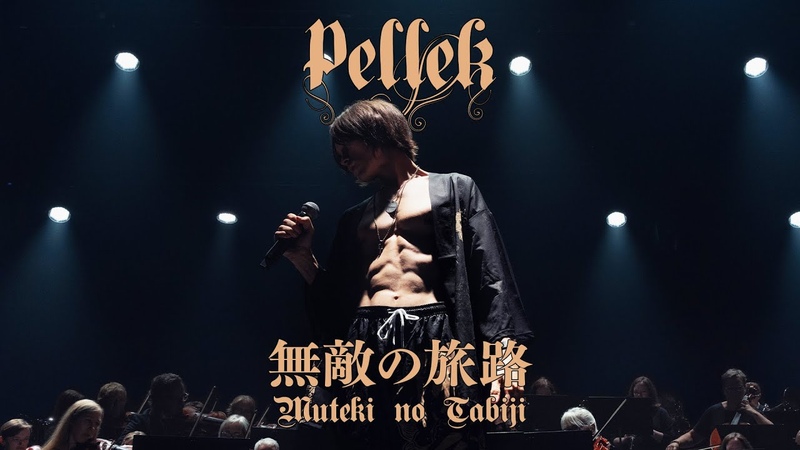 Pelle K 疑わないで欲しい真実 Utagawanaide Hoshii Shinjitsu ( Muteki no