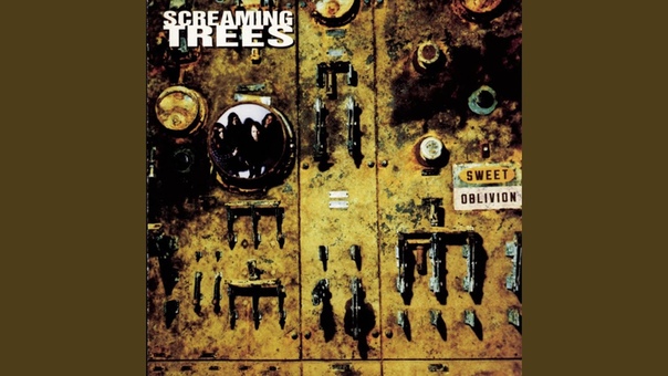 Screaming Trees Nearly Lost You