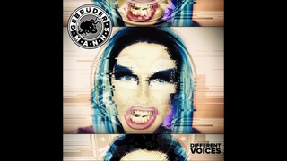 Gebrder Manns Different Voices