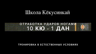 👊ШКОЛА КЁКУСИНКАЙ. ОТРАБОТКА УДАРОВ НОГАМИ (10 кю-1 дан)